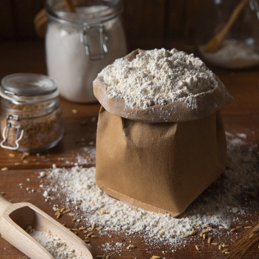White Quinoa Flour – Pre Cooked